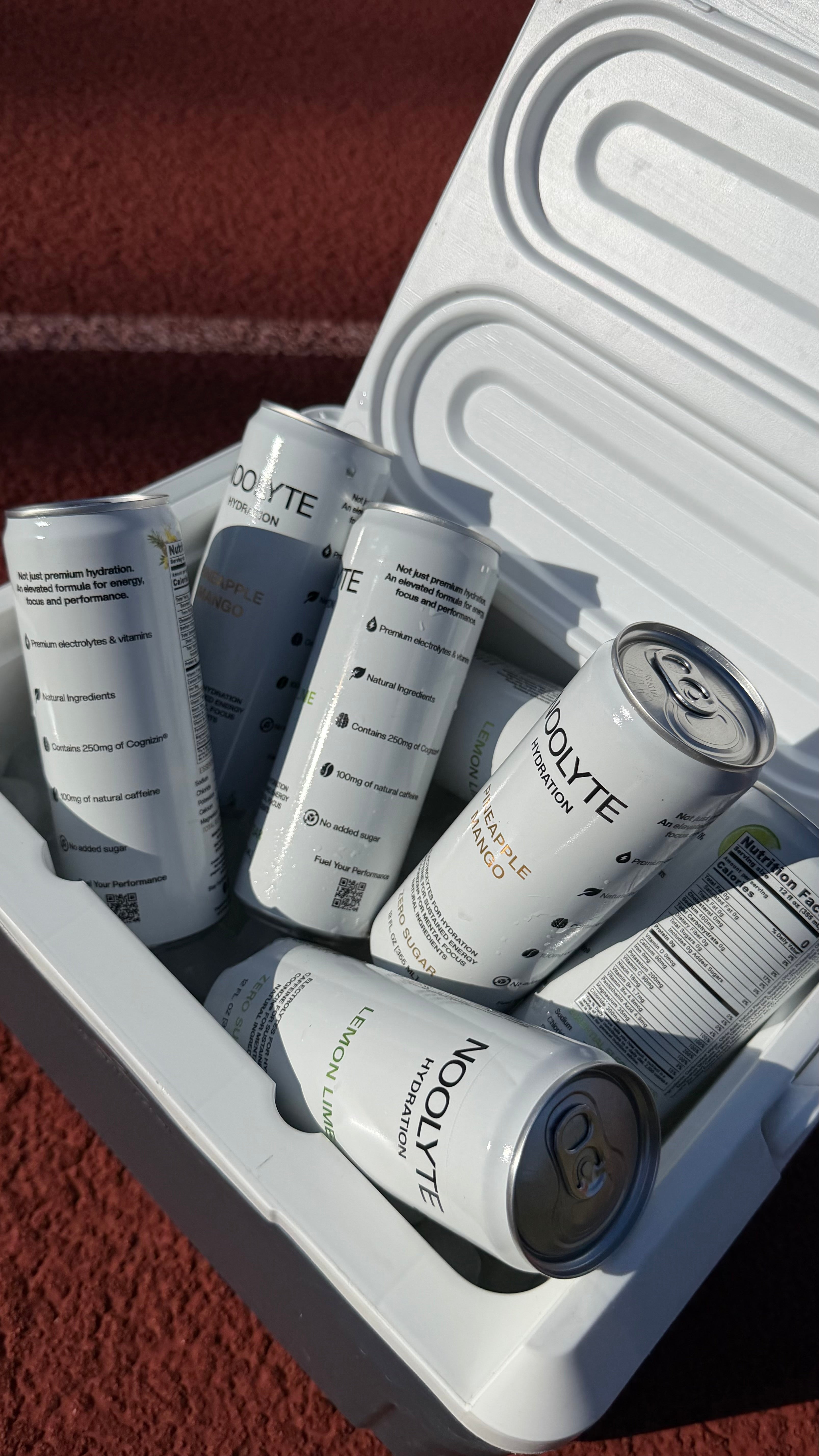 NOOLYTE - Pineapple Mango 12 Pack