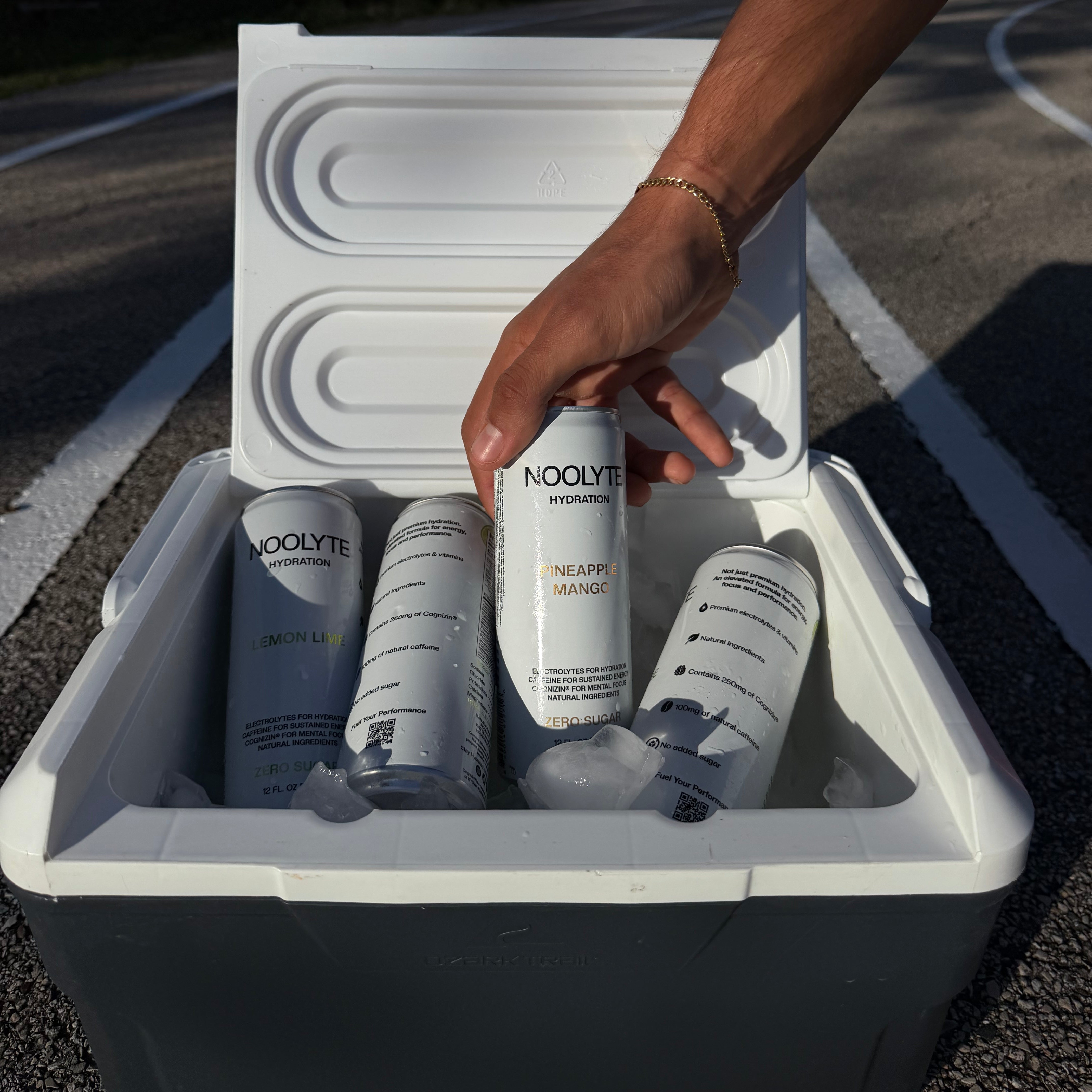 NOOLYTE - Pineapple Mango 12 Pack